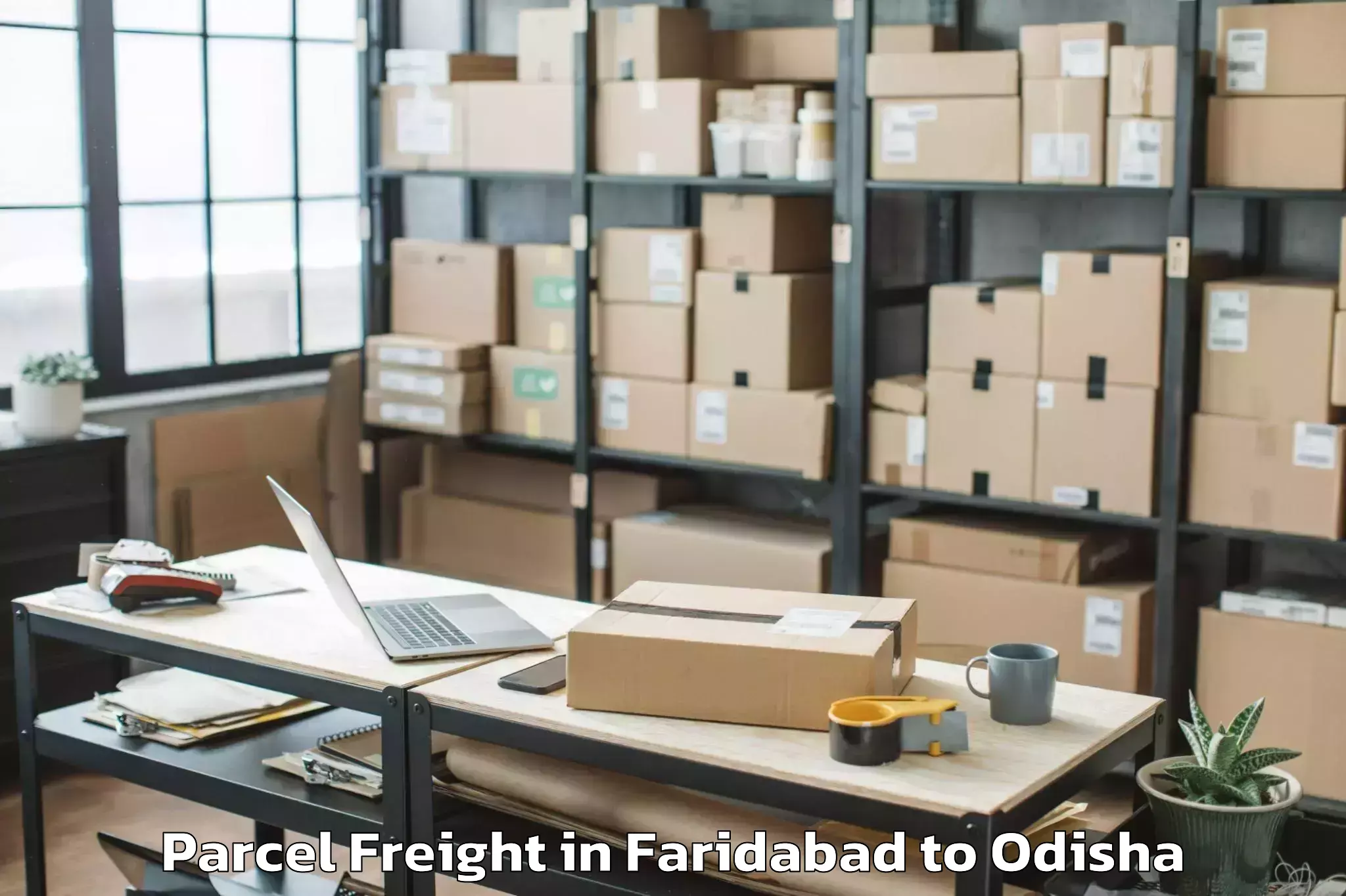 Top Faridabad to Pipili Parcel Freight Available